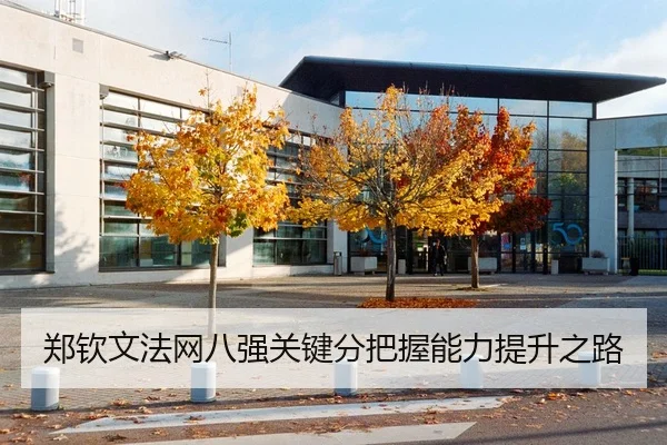 郑钦文法网八强关键分把握能力提升之路